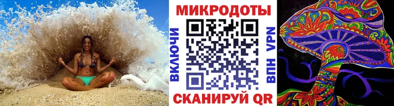 Псилоцибиновые грибы Psilocybe  Озёры 